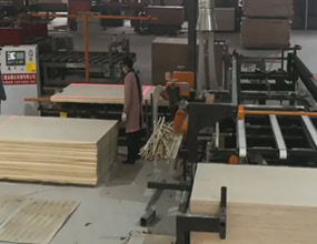 膠合板自動(dòng)鋸邊機(jī)